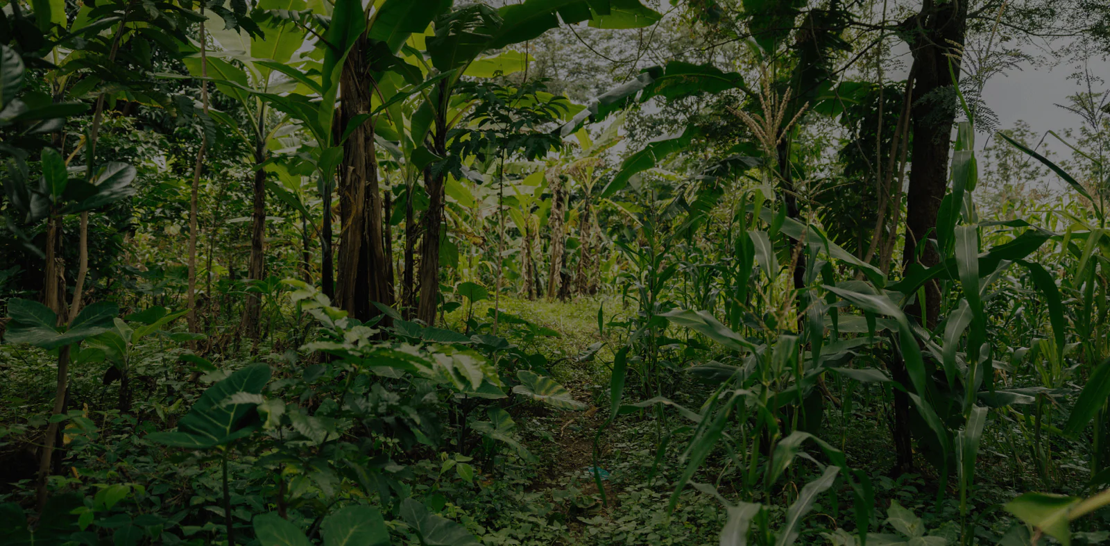 Welcome to Our Store